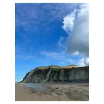 Entre Et Dunes De Pin Neufchâtel-Hardelot