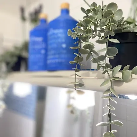 Entre Mer Et Dunes De Pin *