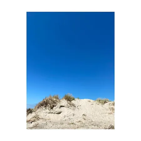 Entre Mer Et Dunes De Pin * Neufchâtel-Hardelot