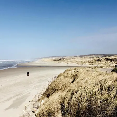 Entre Mer Et Dunes De Pin *