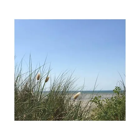 Entre Mer Et Dunes De Pin * Neufchâtel-Hardelot