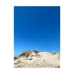 Entre Et Dunes De Pin * Neufchâtel-Hardelot