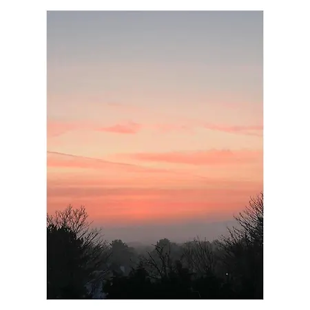 Lejlighed Entre Et Dunes De Pin Neufchâtel-Hardelot
