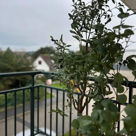 Entre Et Dunes De Pin * Neufchâtel-Hardelot