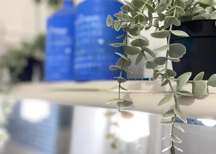 Entre Et Dunes De Pin *