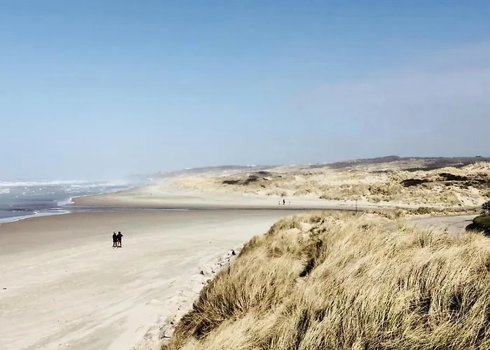 Entre Et Dunes De Pin *