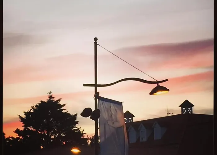 Entre Et Dunes De Pin *