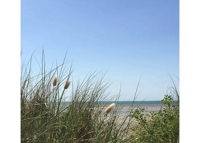 Entre Et Dunes De Pin * Neufchâtel-Hardelot