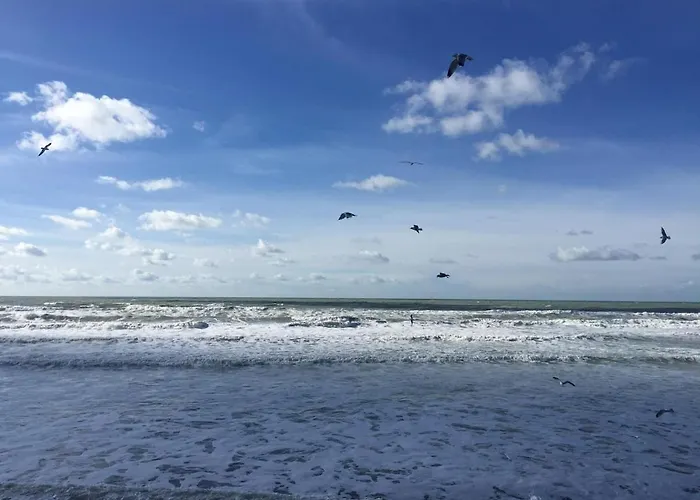 Entre Et Dunes De Pin *