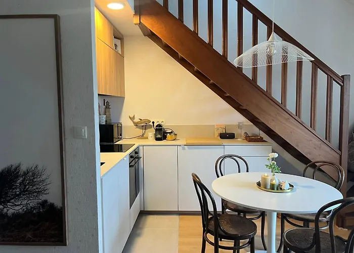 Entre Et Dunes De Pin