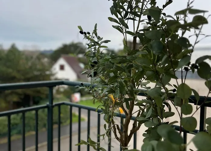 Entre Et Dunes De Pin * Neufchâtel-Hardelot